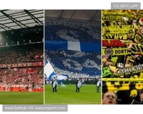 德甲球场上座率回升反映球迷热情不减，德乙上座率